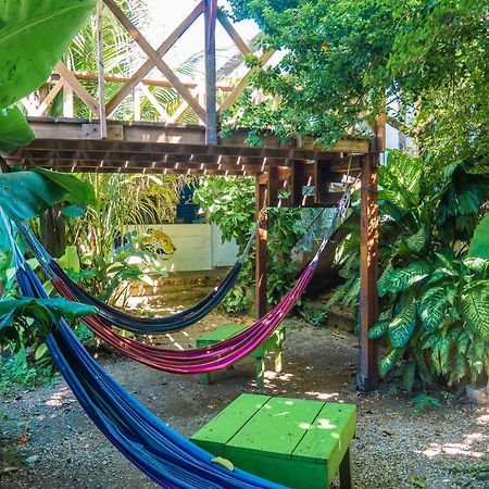 Ciao Cacao Hostel & Vegan Cafe Flores Kültér fotó