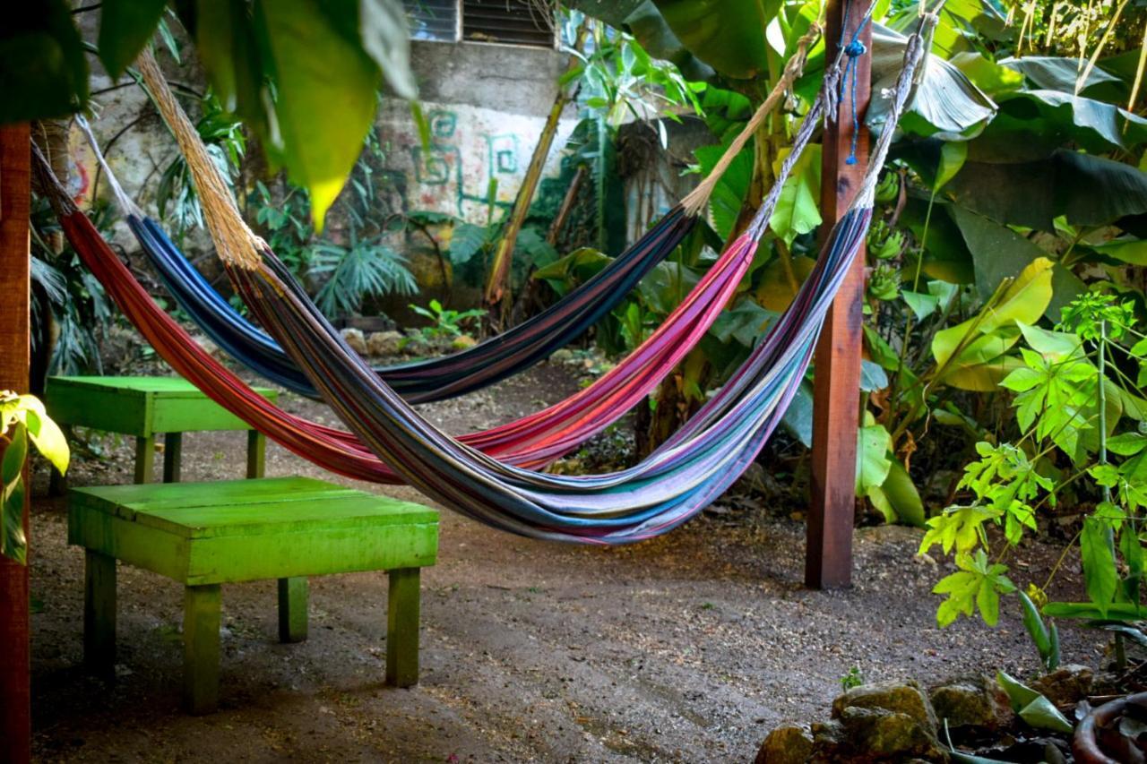 Ciao Cacao Hostel & Vegan Cafe Flores Kültér fotó