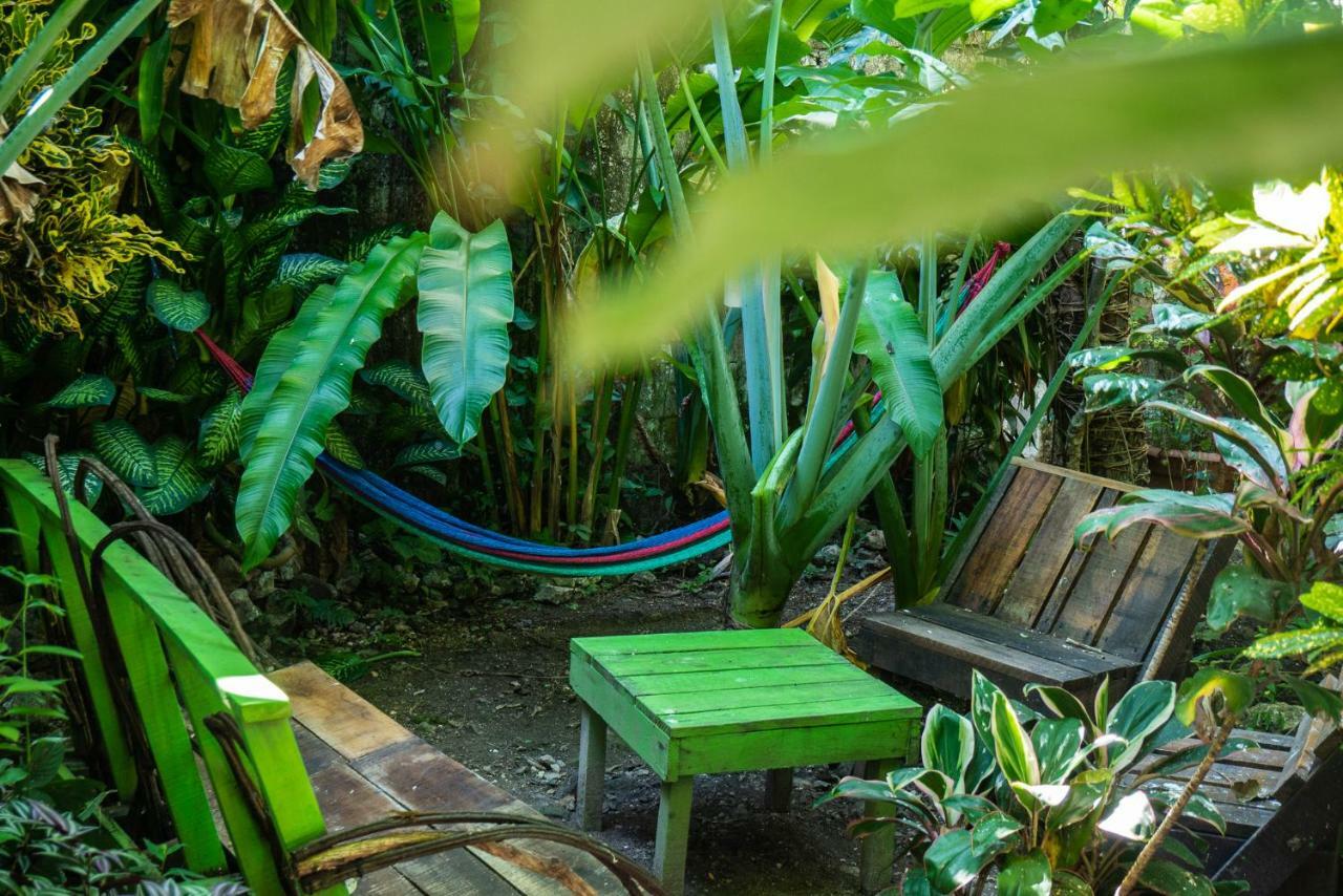 Ciao Cacao Hostel & Vegan Cafe Flores Kültér fotó
