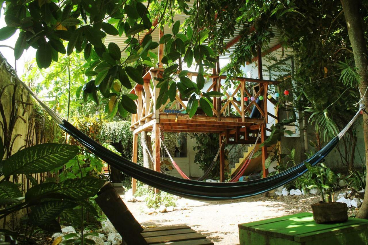 Ciao Cacao Hostel & Vegan Cafe Flores Kültér fotó