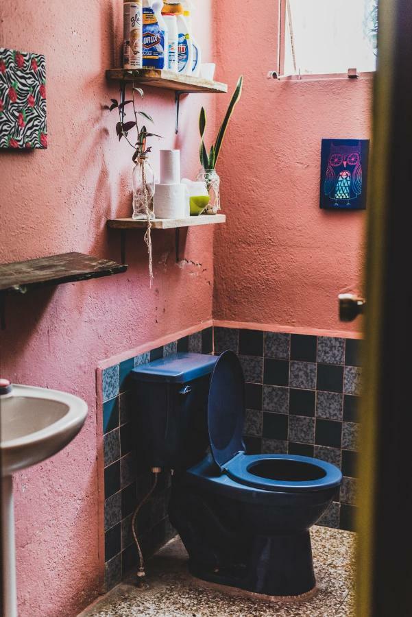Ciao Cacao Hostel & Vegan Cafe Flores Kültér fotó